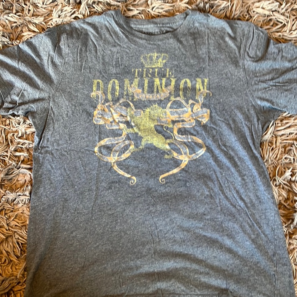 Mens Express brand True Dominion tshirt size large